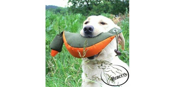 Bracco Bird Body Dummy